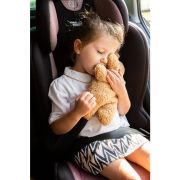 Perna pentru centura de siguranta Childhome Teddy ERFCH-CCTSBC