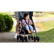 Carucior Graco EZLite Mint ERFG6BF899MNTEU