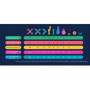 Clixo&reg; joc magnetic de construit - itsy flamingo & turcoaz (18 piese)