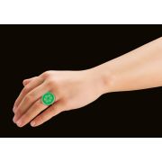 Playmobil-MIRACULOUS CARAPACE ARTPM71338