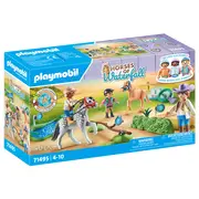 Playmobil-TURNEUL CU PONEI ARTPM71495