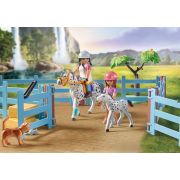 Playmobil - Ferma De La Cascada ARTPM71351