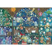 Ravensburger - Puzzle cabinetul curiozitatilor 1000 piese ARTRVSPA00785