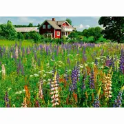 Ravensburger - Puzzle ferma in Suedia 500 piese ARTRVSPA00844