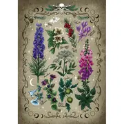 Ravensburger - Puzzle plante otravitoare 1000 piese ARTRVSPA00781