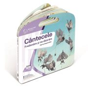Raspundel Istetel, carte Cantecele - Fredonam si ne distram BKF87502