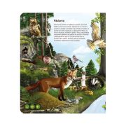 Pachet Raspundel Istetel, creion si carte Lumea animalelor BKF69366