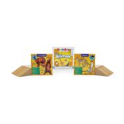 Joc educativ BrainBox Animale BKFG114002