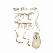 STIINTA SI JOACA DESCOPERA DINOZAURUL T-REX FLUO VIV1026-50908