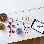 LEGO BOTANICAL COLLECTION FLORI DE PRUN 10369 VIVLEGO10369