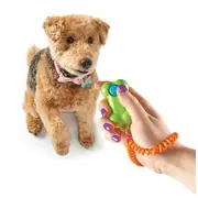 Jucarie dresaj caini - clicker os