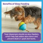 Jucarie dresaj caini - jucarie eliberare recompense briosa