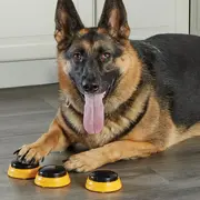 Set dresaj caini - sonerii dresaj catel cuvinte esentiale