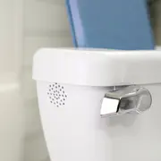 Ingenuity - olita cu sunete my size potty pro, alb bbb11124