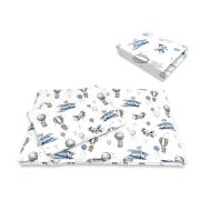 Lenjerie patut cu 3 piese, MimiNu, Cu cearceaf 120x60 cm, Pilota, Pernuta, Din bumbac certificat Oeko Tex Standard 100, Blue Plane BYN6426972026307