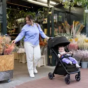 Joie - carucior pact pro shale  bbbs2308aasha000