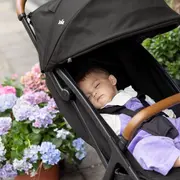 Joie - carucior pact pro shale  bbbs2308aasha000