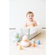 Jucarie De Baie, Mama Rata, Mint Pjb33861