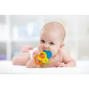WINFUN ZORNAITOARE FLUTURAS CU JUCARIE DE DENTITIE VIVWin000183