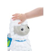WINFUN JUCARIE DE IMPINS ALPACA VIVWin000757