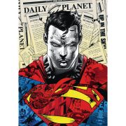 PUZZLE TREFL 1000 PREMIUM PLUS SUPERMAN VIV10884