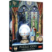 PUZZLE TREFL 1000 PREMIUM PLUS UCENICUL VRAJITOAREI VIV10898