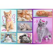 PUZZLE TREFL 60 PISICUTE DRAGUTE VIV17373