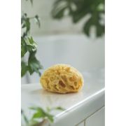 Burete natural pentru bebelus Rotho babydesign