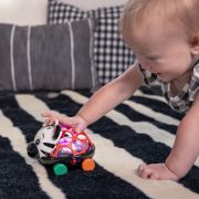 Baby einstein - masinuta zornaitoare "curious car zen oball" bbb16772