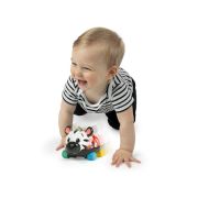 Baby einstein - masinuta zornaitoare "curious car zen oball" bbb16772
