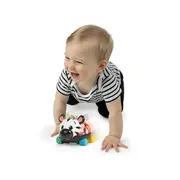 Baby einstein - masinuta zornaitoare "curious car zen oball" bbb16772