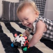 Baby einstein - masinuta zornaitoare "curious car zen oball" bbb16772