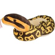 Sarpe ball python wr20728