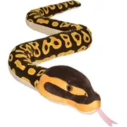 Sarpe ball python wr20728