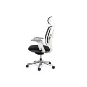 Scaun ergonomic multifunctional syyt 9505 drm9872