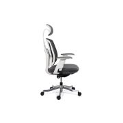 Scaun ergonomic multifunctional syyt 9505 drm9872