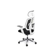 Scaun ergonomic multifunctional syyt 9505 drm9872