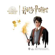 Set mulaj si pictura-harry potter sa09344