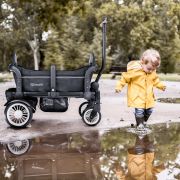 Babygo - carucior de transport tip vagon cozy rider bbbbgo-7301