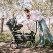 Babygo - carucior de transport tip vagon cozy rider bbbbgo-7301