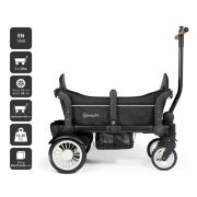 Babygo - carucior de transport tip vagon cozy rider bbbbgo-7301