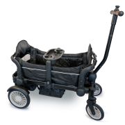 Babygo - carucior de transport tip vagon cozy rider bbbbgo-7301