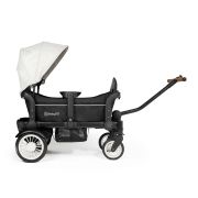 Babygo - carucior de transport tip vagon cozy rider bbbbgo-7301