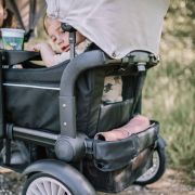 Babygo - carucior de transport tip vagon cozy rider bbbbgo-7301