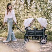 Babygo - carucior de transport tip vagon cozy rider bbbbgo-7301