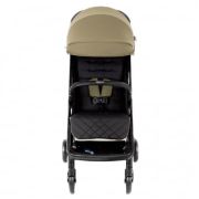 Carucior Graco Myavo Clover ERFGS2107BBCVR000