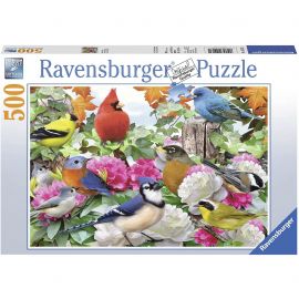 Puzzle Pasari, 500 Piese ARTRVSPA14223