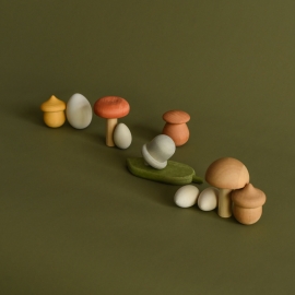 Jucarie din lemn - Jocul comorilor, ciupercute
