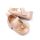 Pantofiori crem din piele ecologica lacuita - princess chbbw4023-1-va13