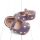 Pantofiori mov cu floricele colorate brodate csbmh3039-2-va18